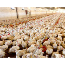 Broiler Poultry Farm Automatic Broiler Feeding System